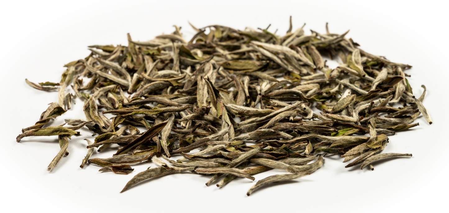 Tea Matters Silver Needle (白毫银针) - Loose Leaf Tea