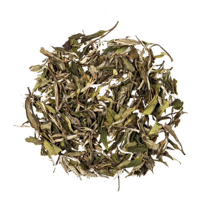 Tea Matters White Peony (白牡丹) - Loose Leaf Tea